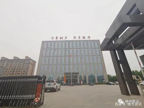 河北武安 邯武快速路綠化招標滯后引發(fā)的反思